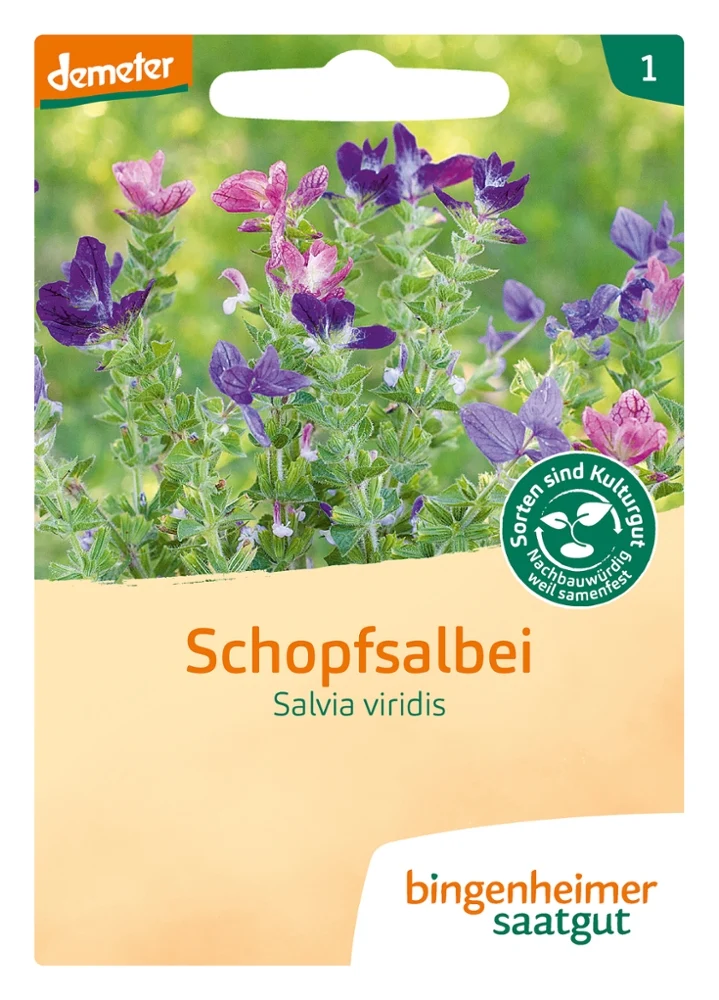 BIO Saatgut Schopfsalbei
