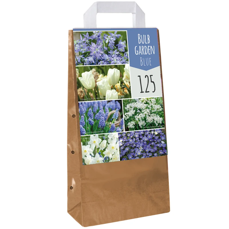 Blumenzwiebel-Mix Blau
