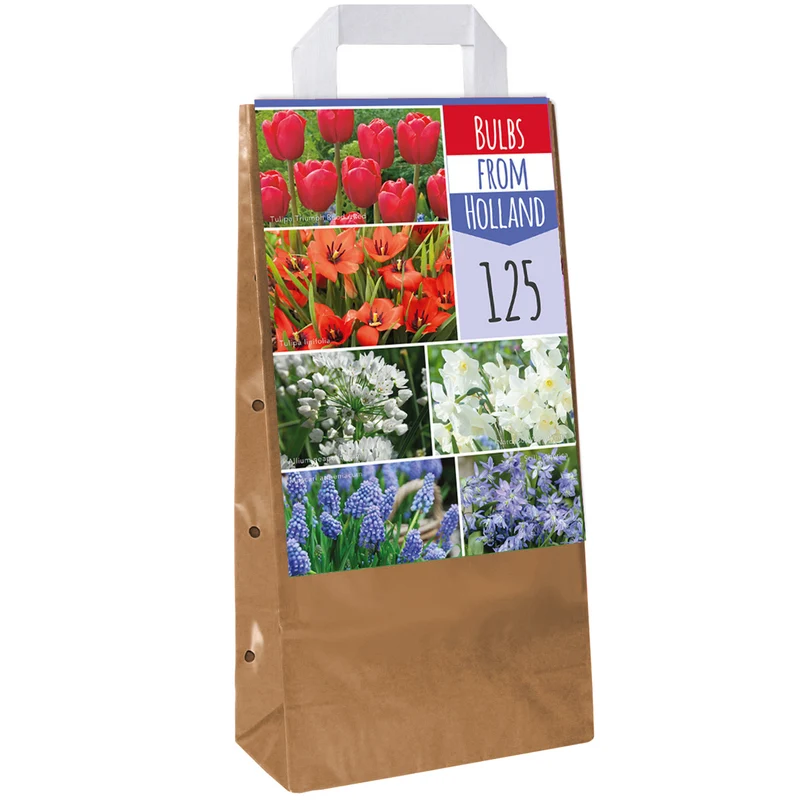 Blumenzwiebel-Mix aus Holland