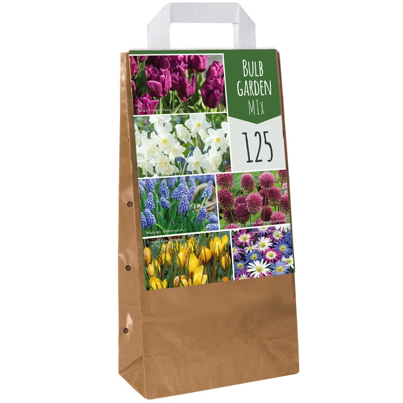 Blumenzwiebel-Mix