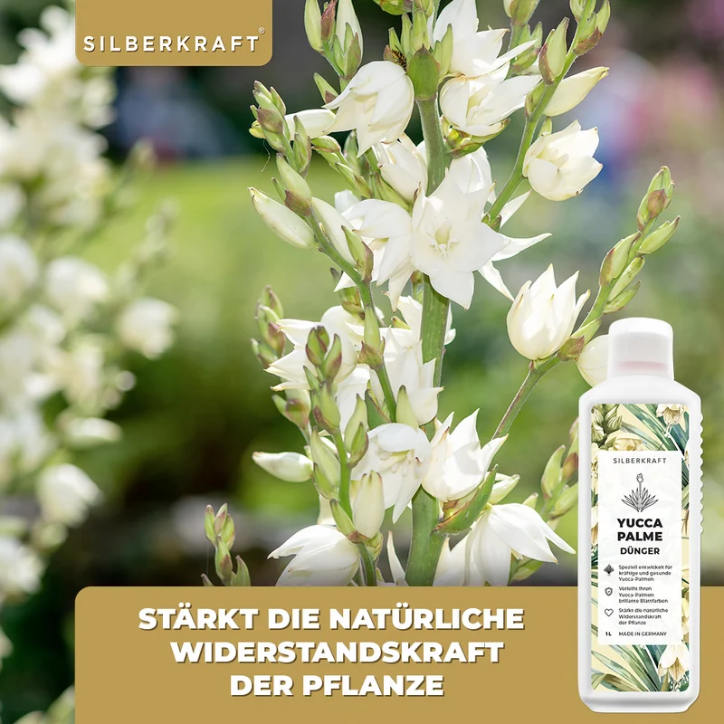 Yucca Dünger - Mineralischer NPK Flüssigdünger mit Stickstoff - Dünger für Yucca Palmen - Palmlilie düngen - Yucca Rostrata Dünger