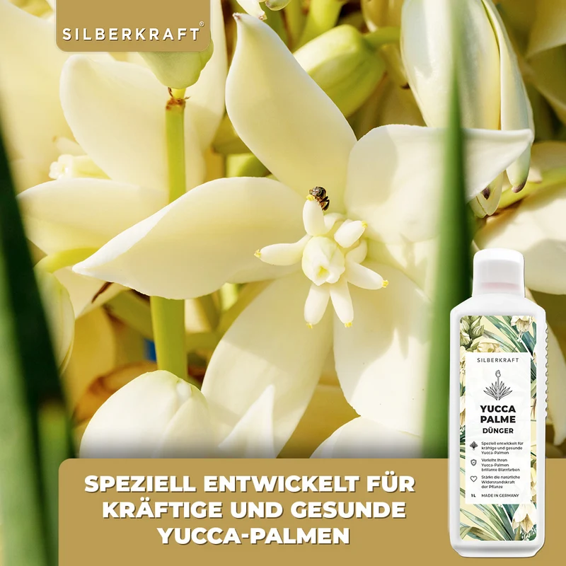 Yucca Dünger - Mineralischer NPK Flüssigdünger mit Stickstoff - Dünger für Yucca Palmen - Palmlilie düngen - Yucca Rostrata Dünger