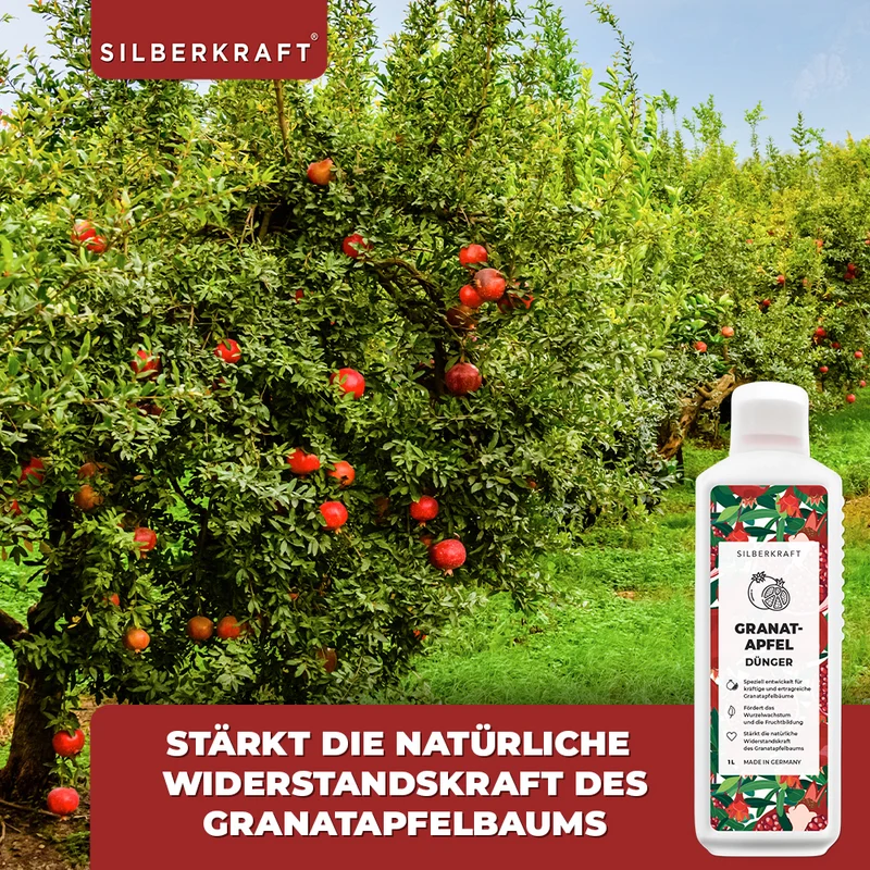 Granatapfel Dünger - Mineralischer NPK Flüssigdünger mit Stickstoff - Dünger für Granatapfelbaum