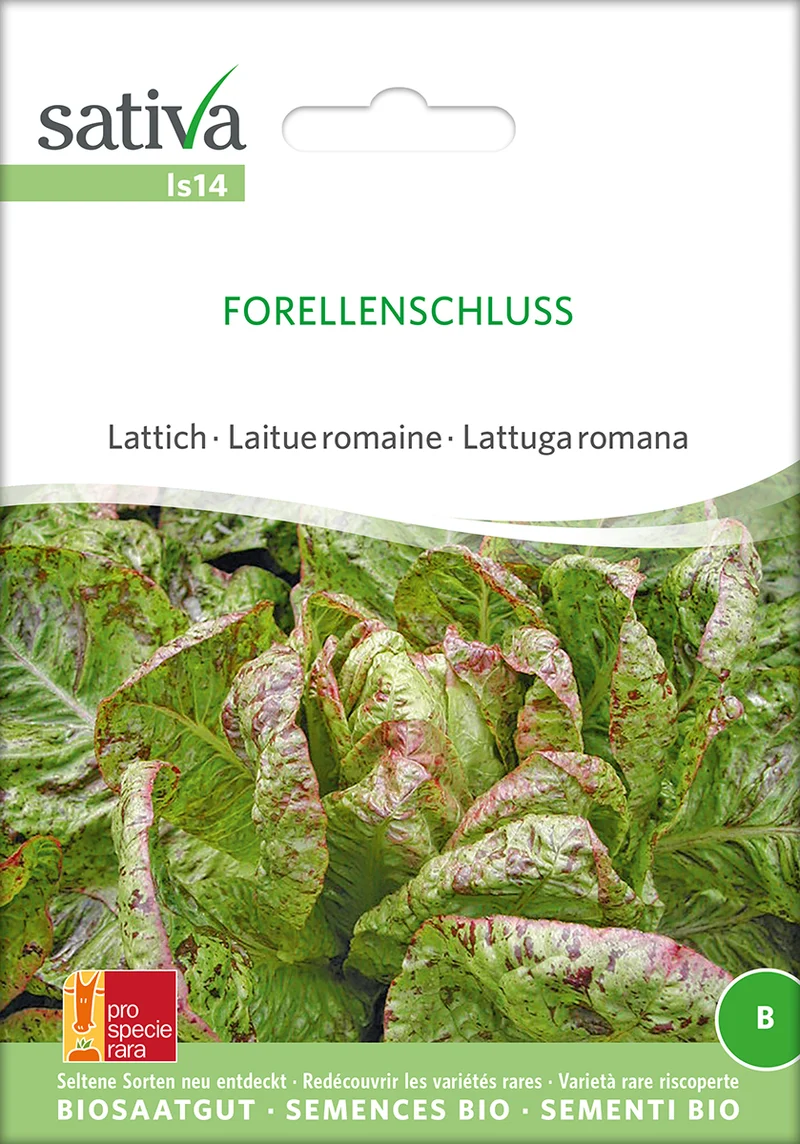 BIO Saatgut Romanasalat Forellenschluss