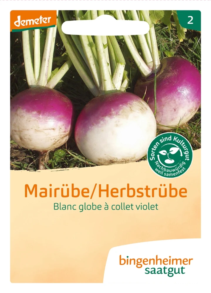 BIO Saatgut Mairübe Blanc globe a collet violet