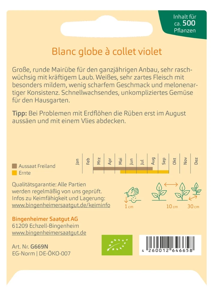 BIO Saatgut Mairübe Blanc globe a collet violet