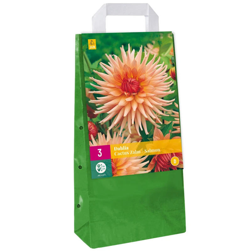 Dahlie 'Cactus Zalm'
