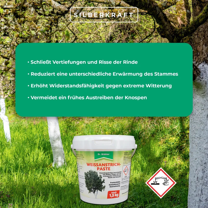 Effektiver Schutz für Bäume & Sträucher: Weißanstrich-Paste gegen Frostschäden