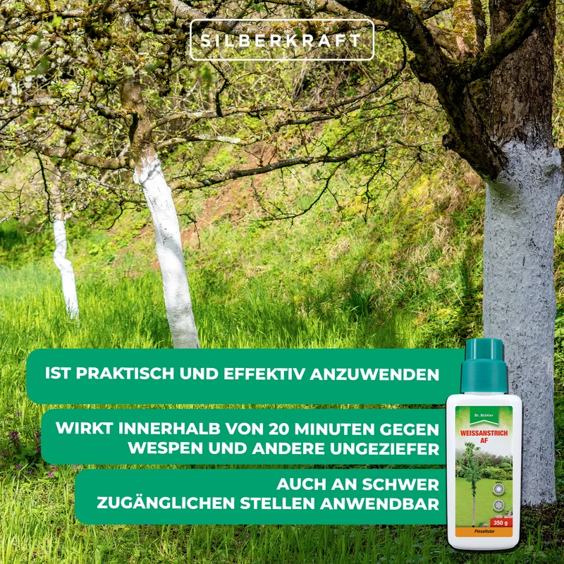 Weißanstrich AF: Effektiver Schutz vor Frost- und Hitzeschäden für Bäume und Sträucher