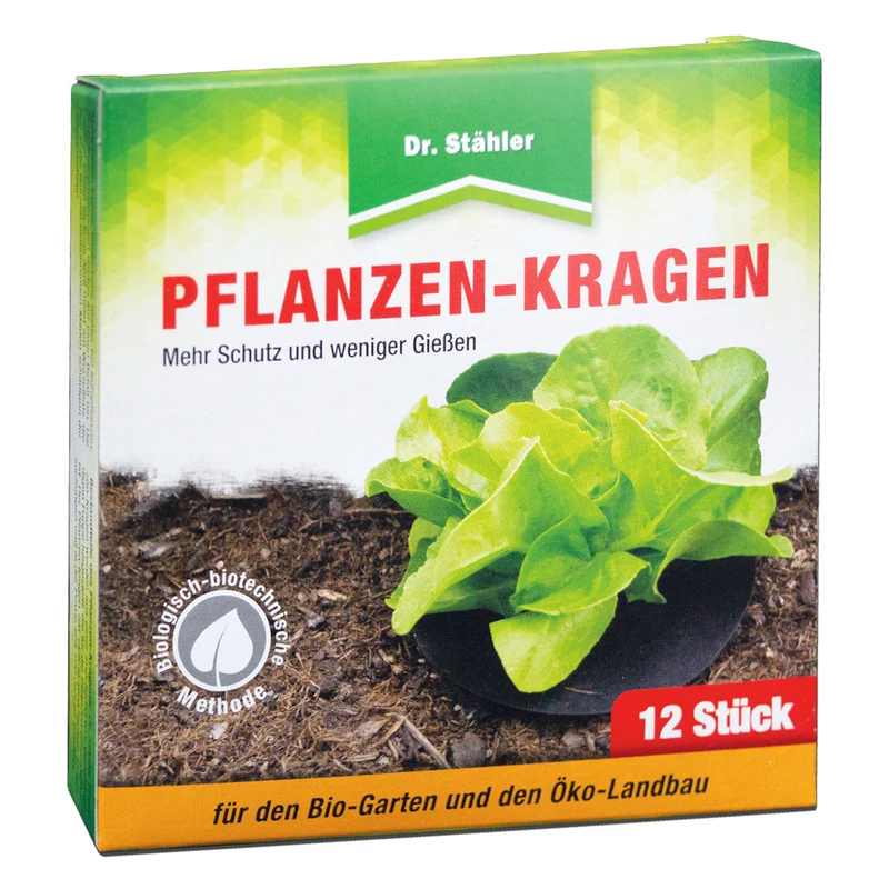 Zuverlässiger Pflanzen-Kragen: Insektizidfreie Bekämpfung der Kohlfliege