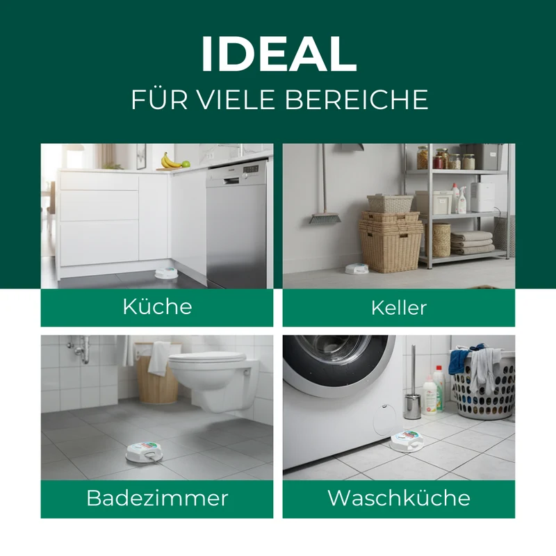 Silberfisch Köderdose: Silberfische & Papierfischchen bekämpfen in Bad, Küche & Keller