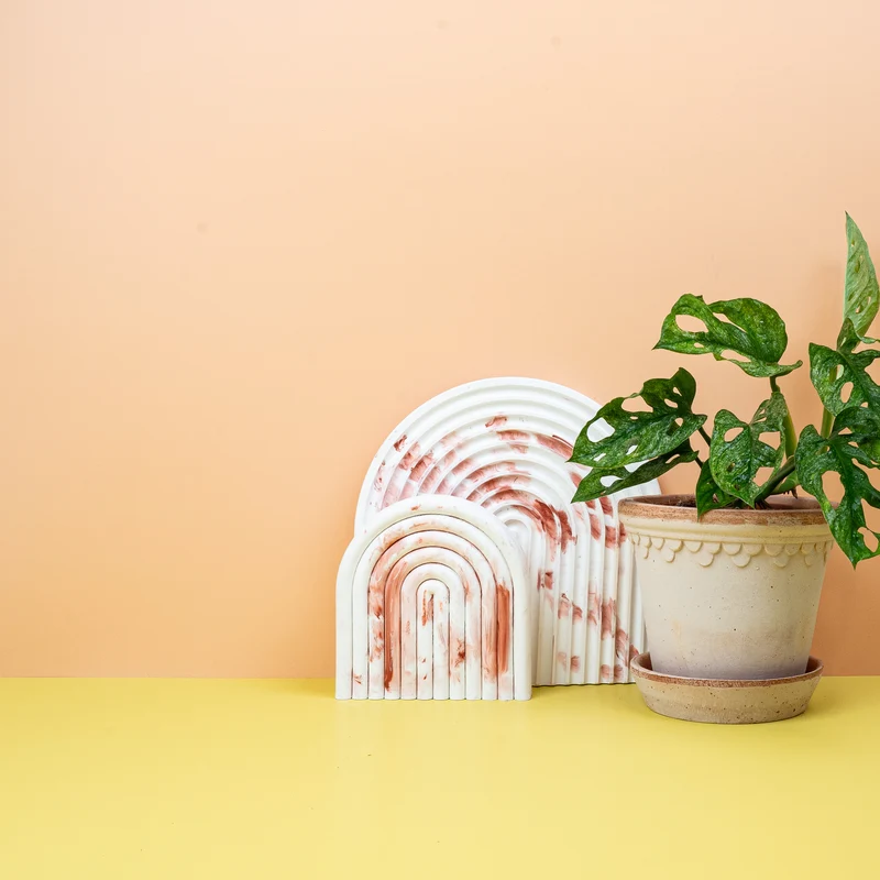 MONSTERA ADANSONII VARIEGATA MINT