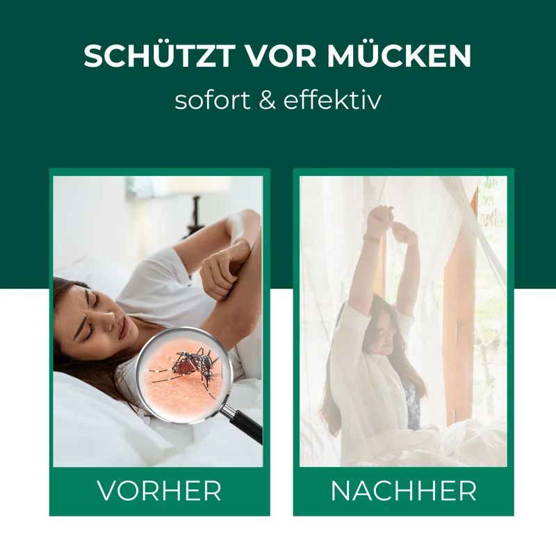 Moskitonetz mit Haken fürs Bett, Reisen, Outdoor und Camping