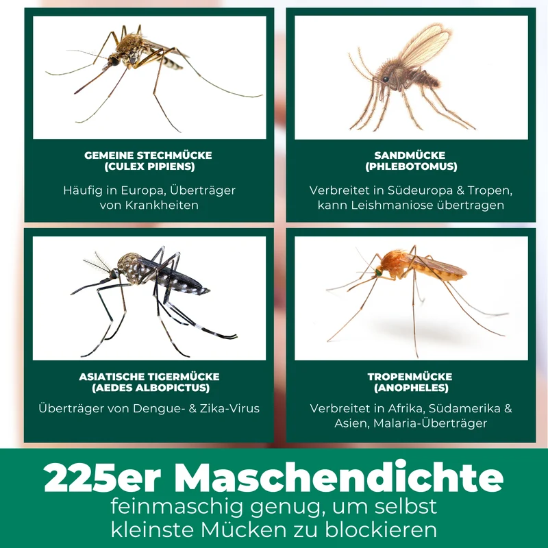 Moskitonetz mit Haken fürs Bett, Reisen, Outdoor und Camping