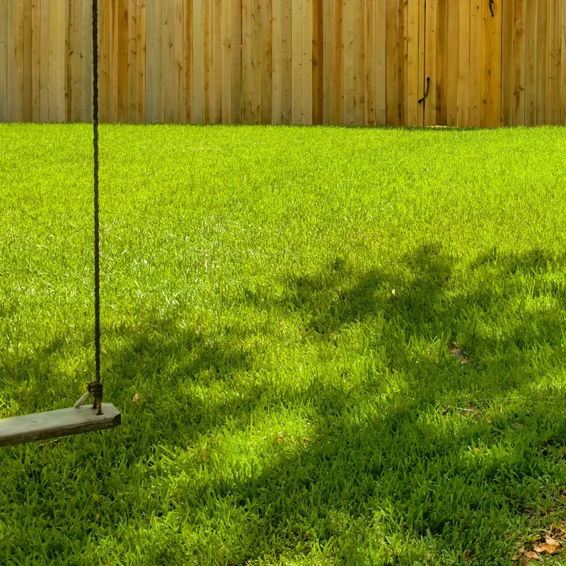 Gardeners Dream Schattenrasensamen