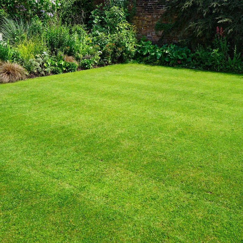 Gardeners Dream Universal-Rasensamen