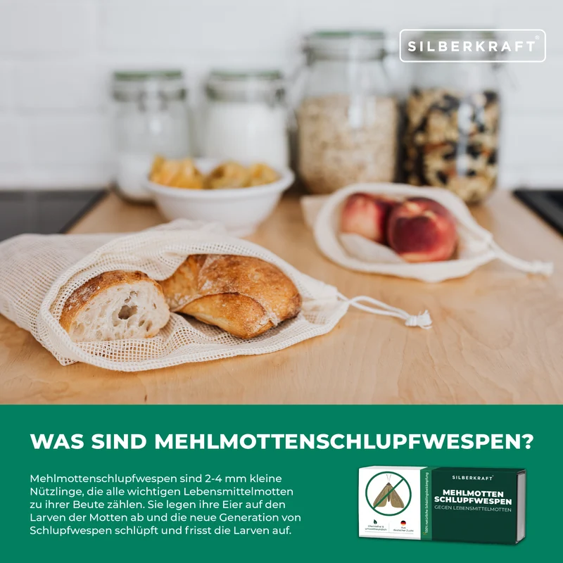Mehlmottenschlupfwespen gegen Mehlmotten & Lebensmittelmotten Brackwespe Habrobracon hebetor - Schlupfwespen 40 Stück