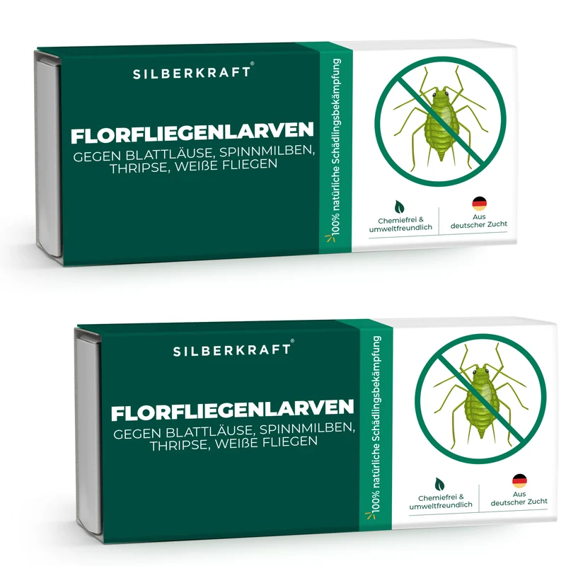 Florfliegenlarven gegen Blattläuse, Spinnmilben, Thripse, weiße Fliegen