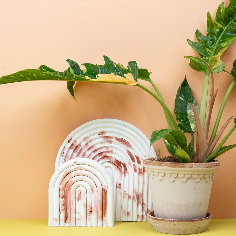 PHILODENDRON RING OF FIRE