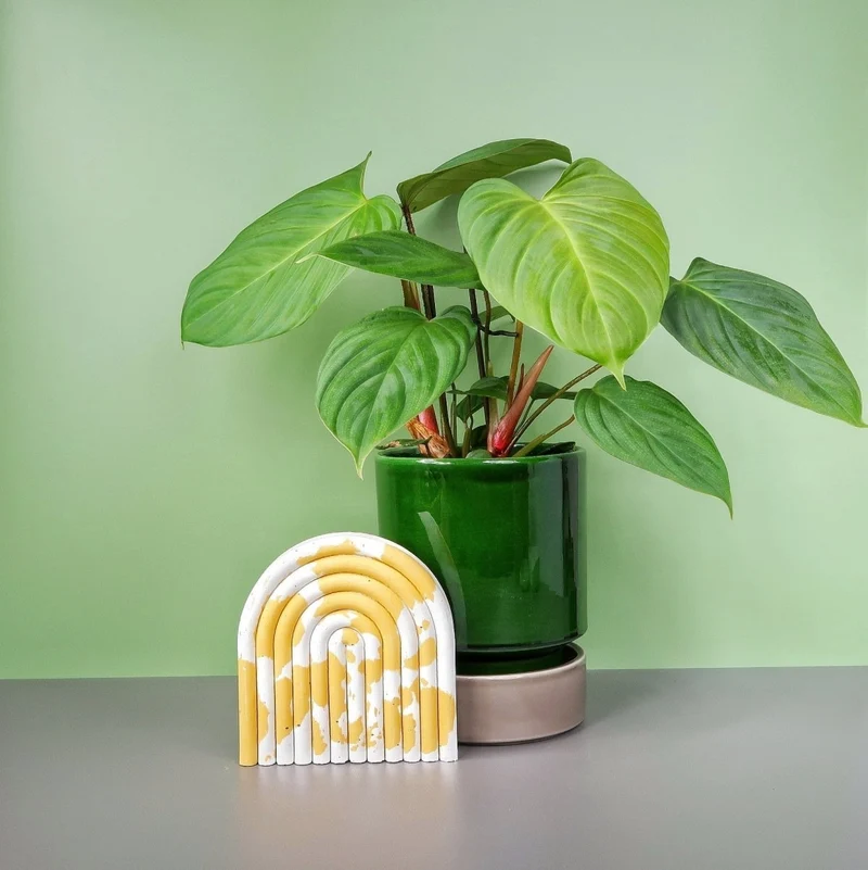 PHILODENDRON NANGARITENSE