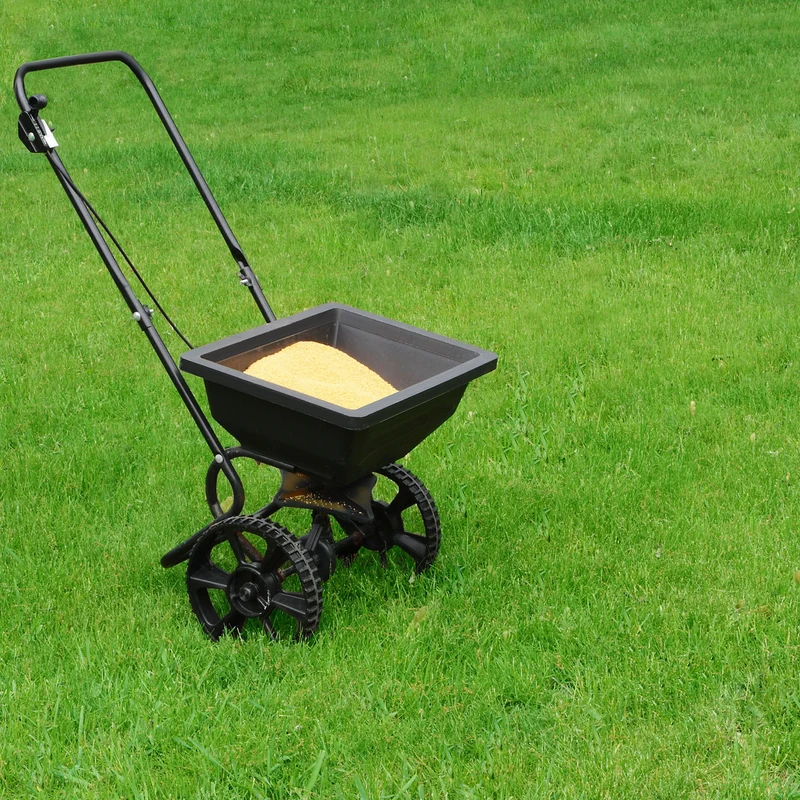 Gardeners Dream Strapazierfähiger Rasensamen