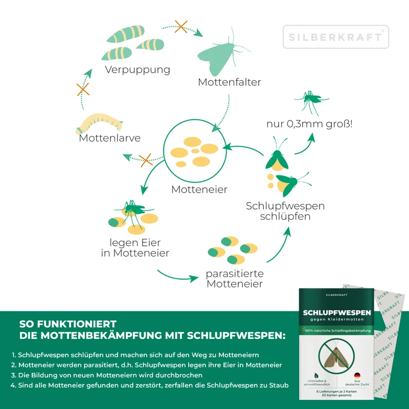 Schlupfwespen gegen Kleidermotten - Motten mit Nützlinge bekämpfen (Trichogramma evanescens)