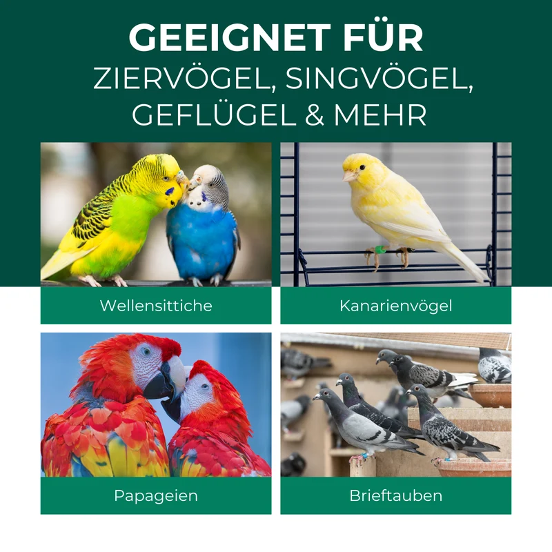 Milbenspray Vögel