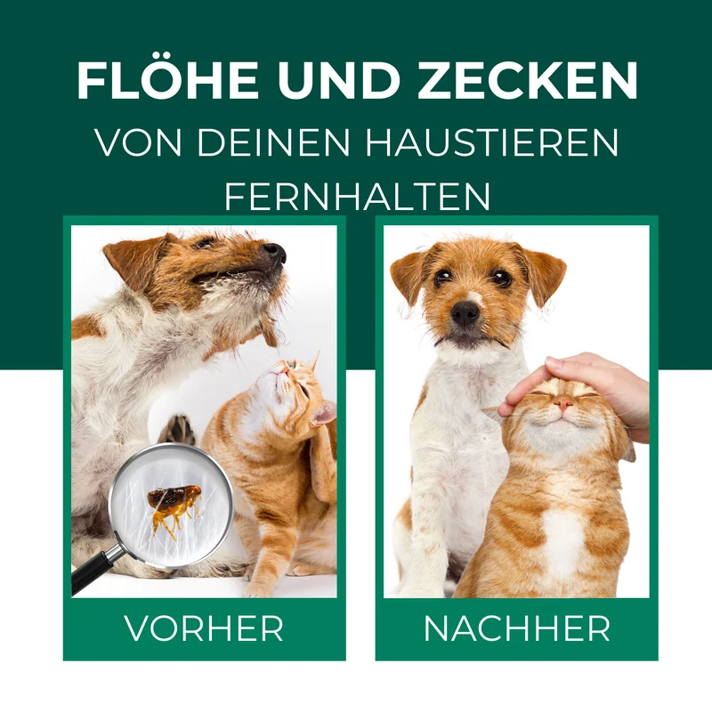 Floh- & Zeckenspray für Hunde und Katzen