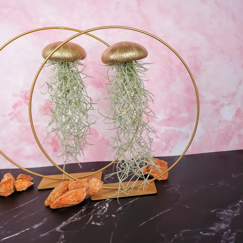 TILLANDSIA USNEOIDES - GOLD
