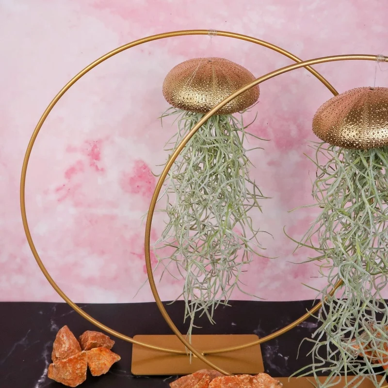 TILLANDSIA USNEOIDES - GOLD