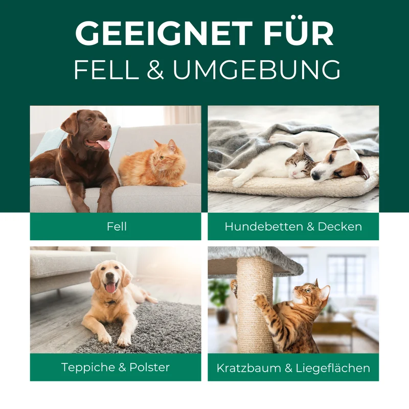 Milbenspray für Hunde & Katzen