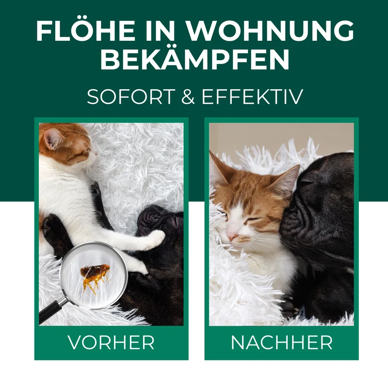 Flohspray für die Umgebung