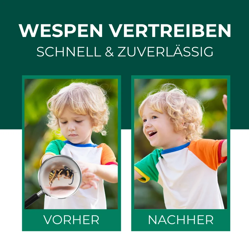 Wespenspray