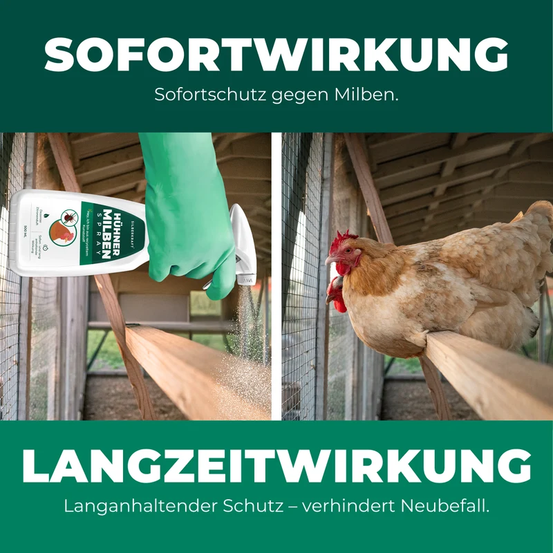 Milbenspray Hühner
