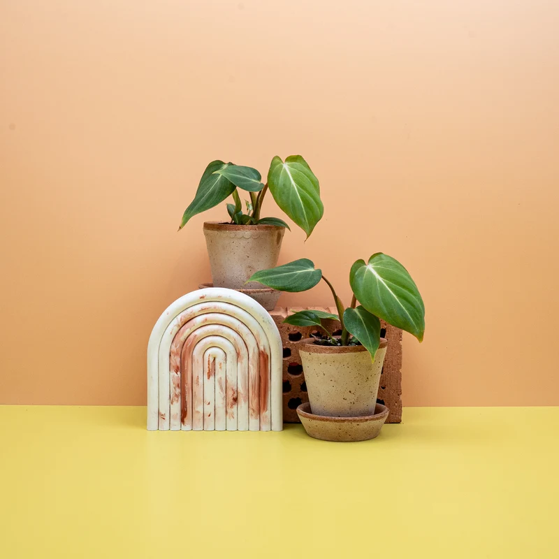 PHILODENDRON GLORIOSUM