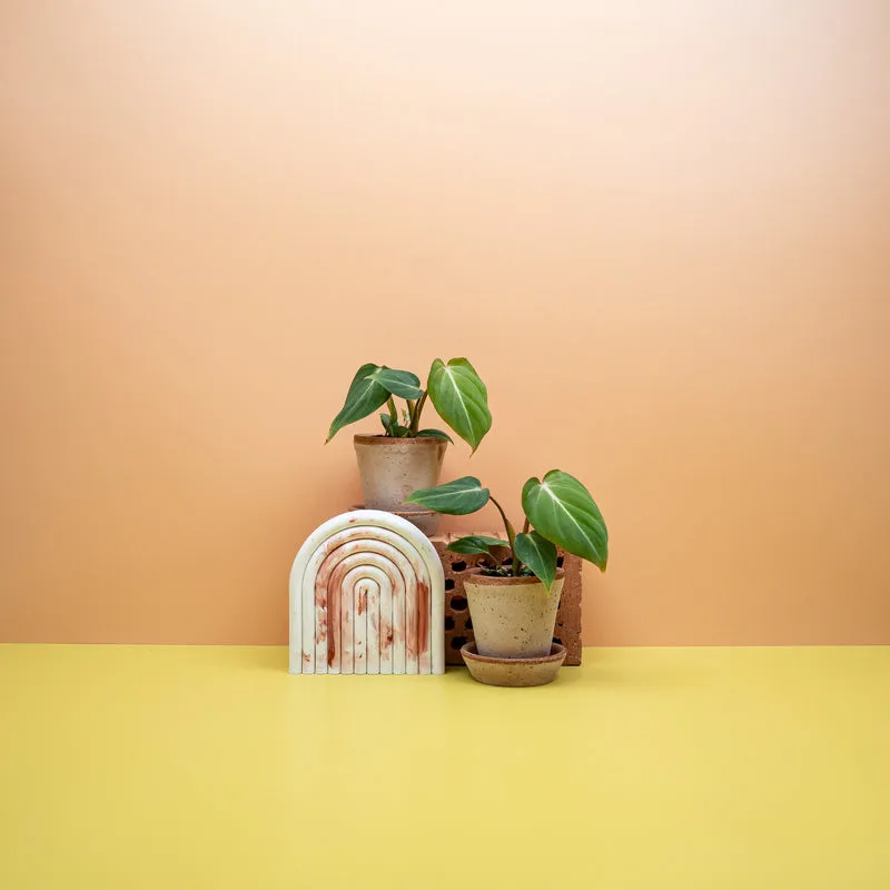 PHILODENDRON GLORIOSUM