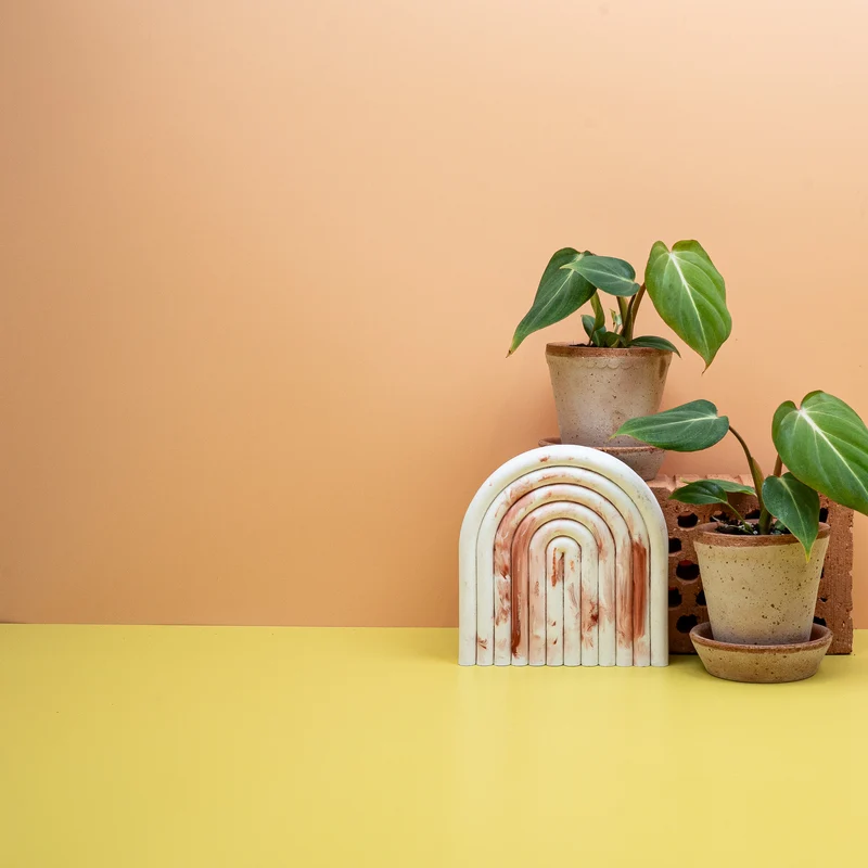 PHILODENDRON GLORIOSUM