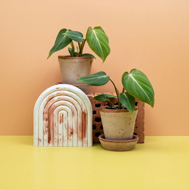 PHILODENDRON GLORIOSUM