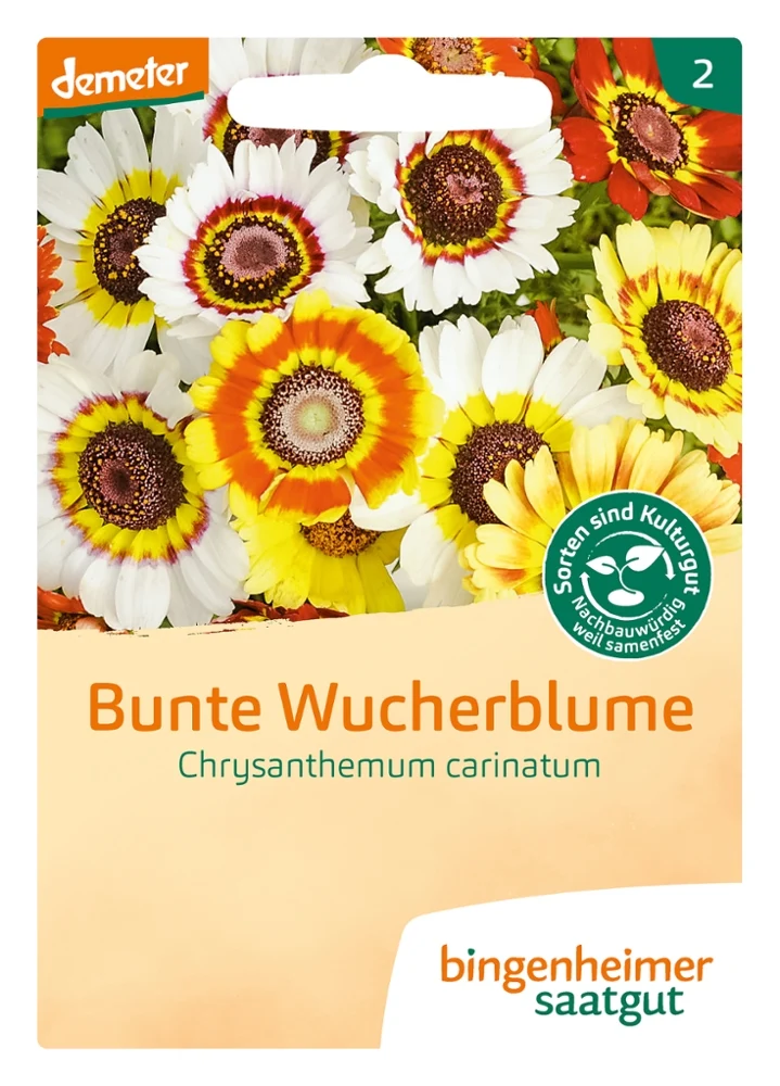 BIO Saatgut Bunte Wucherblume