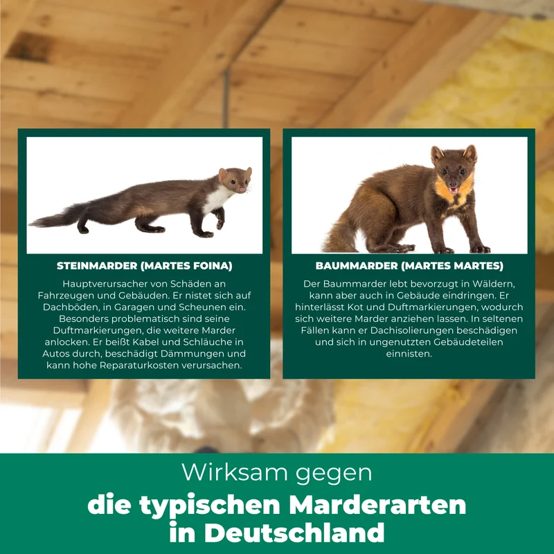 Marderspray