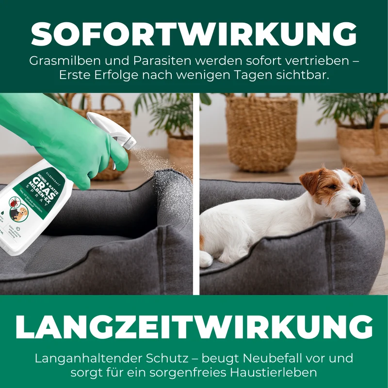 Grasmilben Ex Hund & Katze