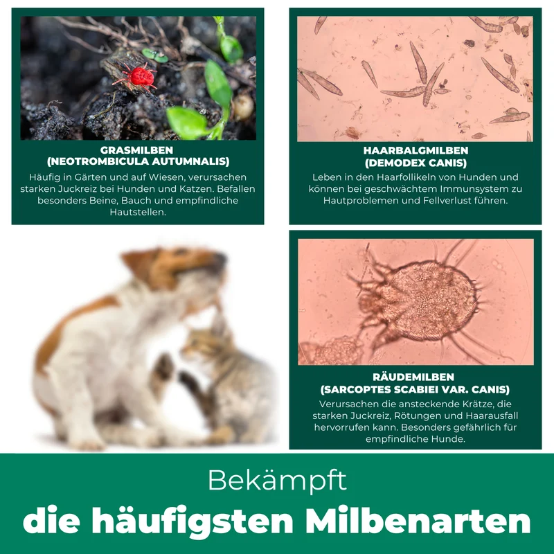 Grasmilben Ex Hund & Katze