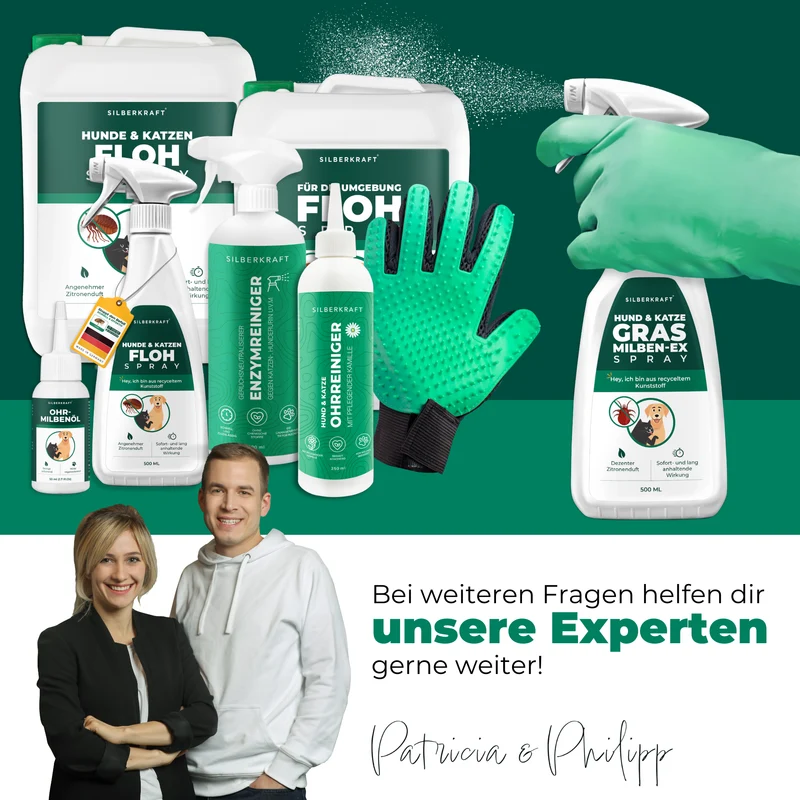 Grasmilben Ex Hund & Katze