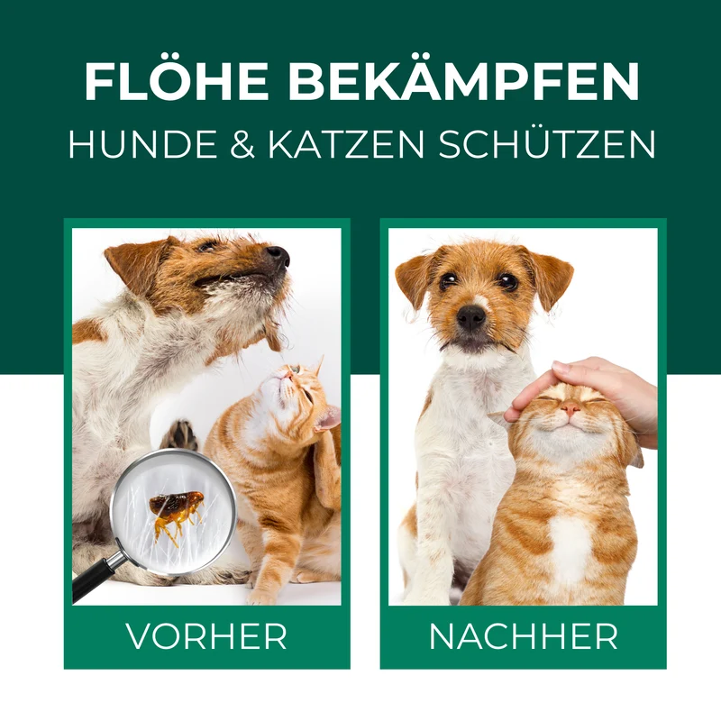 Flohspray Hunde & Katzen