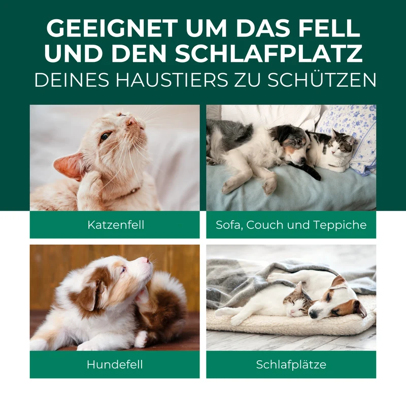 Flohspray Hunde & Katzen