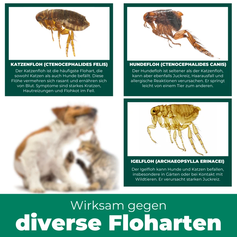 Flohspray Hunde & Katzen