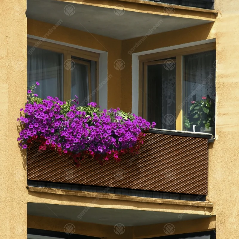Honig-Polyrattan-Screening