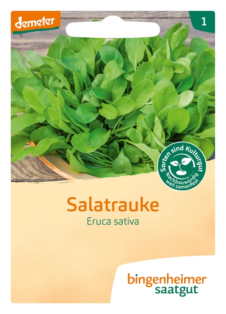 BIO Saatgut Salatrauke Rucola