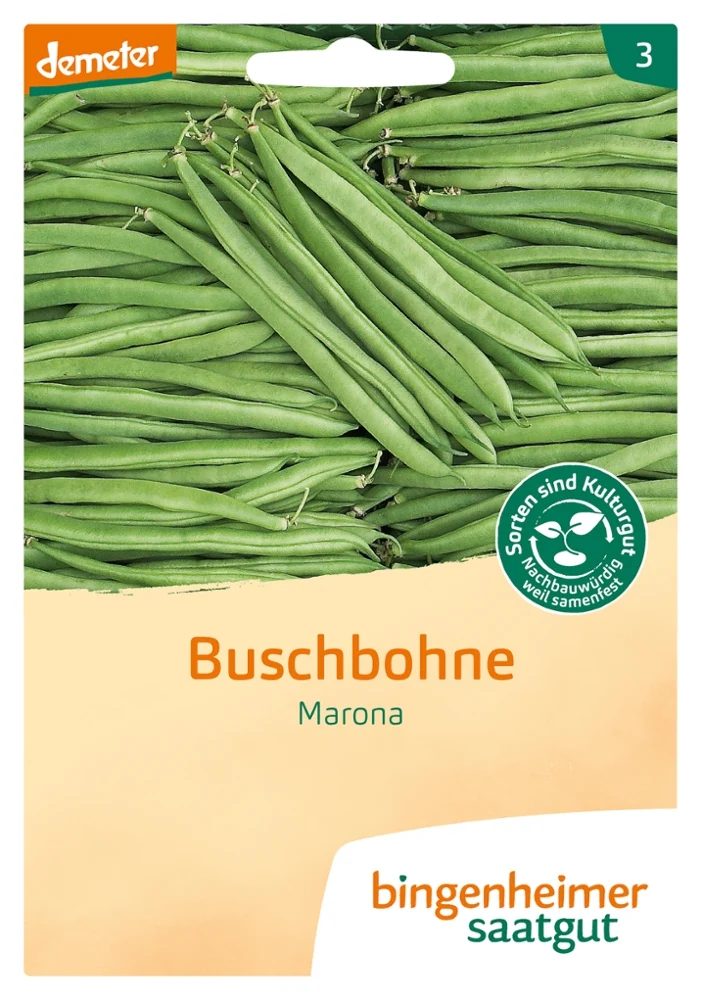 BIO Saatgut Buschbohne Marona