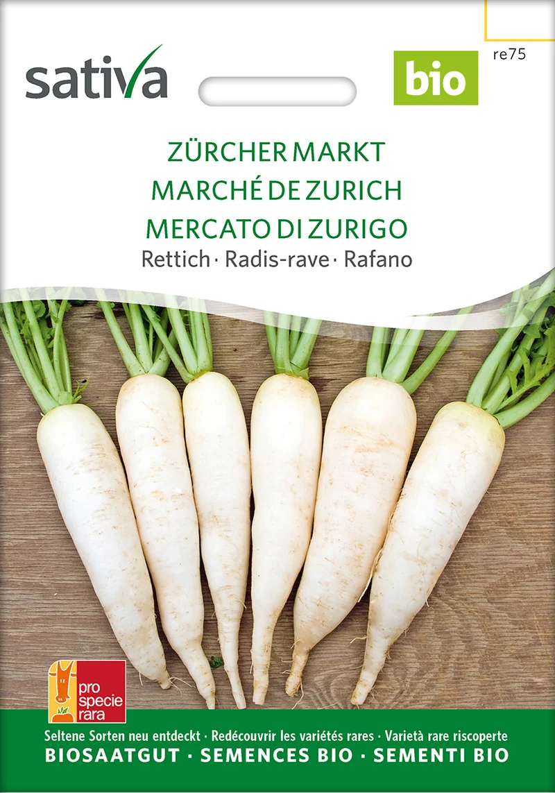 BIO Saatgut Rettich Zürcher Markt